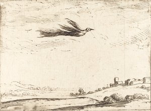 Paradijsvogel door Jacques Callot