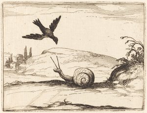 Kraai en Slak door Jacques Callot