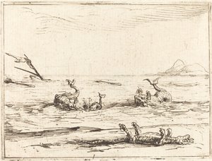 Dolfijnen en krokodil door Jacques Callot