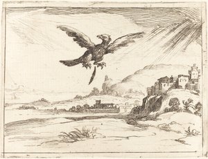 Adelaar verliest een oude veer door Jacques Callot