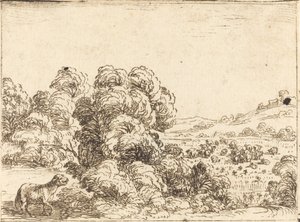 Schaap Roept Lam