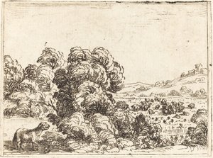 Schaap Roept Lam door Jacques Callot