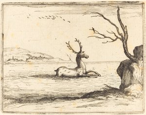 Hert in het Water door Jacques Callot