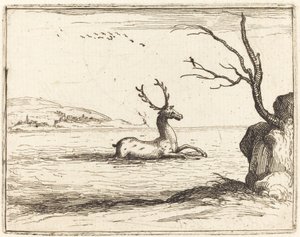 Hert in het water door Jacques Callot