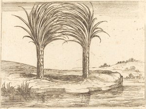 Twee palmbomen door Jacques Callot