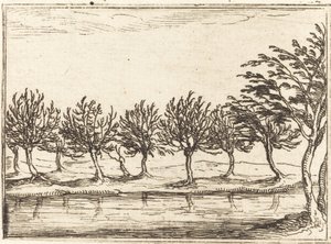Wilgen aan de waterkant door Jacques Callot