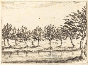Wilgen aan de waterkant, 1628 door Jacques Callot