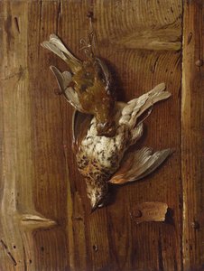 Dode vogels (lijster en veldfluiter)