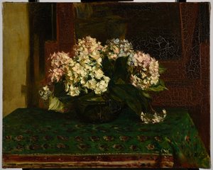 Hortensia