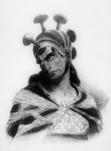 Hawaïaanse krijger met een helm met een paddenstoelversierde kam, 1819