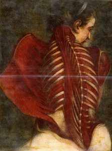 De Gevleugelde Engel, ca. 1745 door Jacques Fabien Gautier dAgoty