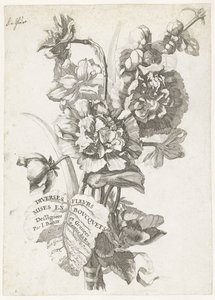 Titelpagina met een boeket pioenen, uit Diverses Fleurs mises en Boucquets, ca. 1670