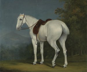 Een Grijze Jager van een Dame, ca. 1806