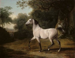 Een grijze Arabische hengst in een boslandschap door Jacques Laurent Agasse