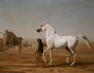 De Wellesley Grijze Arabier door de woestijn geleid door Jacques Laurent Agasse