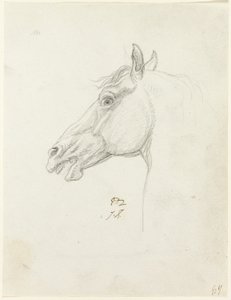 Paardenhoofd door Jacques Louis David