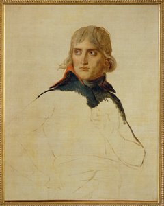 Napoleon Bonaparte ... door Jacques Louis David