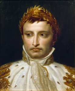 Napoleon I in kroningsregalia door Jacques Louis David