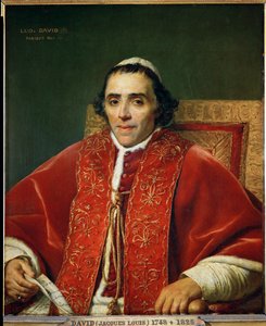 Paus Pius VII ... door Jacques Louis David