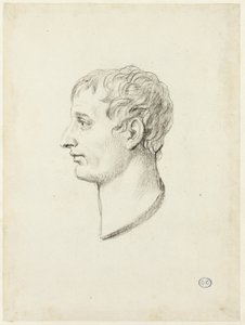 Profiel van Napoleon door Jacques Louis David