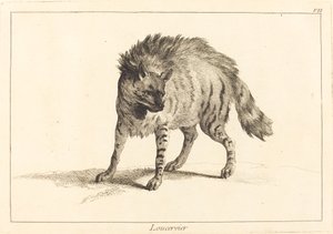 Loucervier (Hyena) door Jacques Philippe Le Bas and Jean Eric Rehn after Jean Baptiste Oudry