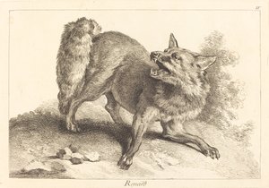 Vos