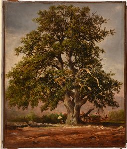 Le Vieux chêne door Jacques Raymond Brascassat