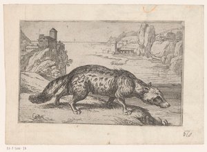 Hyena