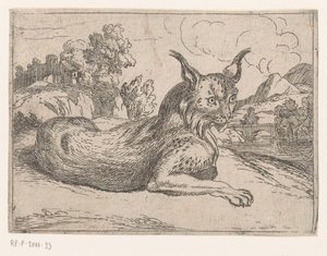 Lynx door Jacques de Fornazeris (attributed to)