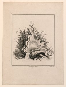 Wapenschild, uit "Recueil Nouveau de Differens Cartouche" door Jacques de Lajoüe