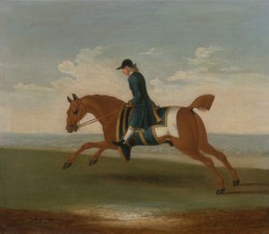 Kastanjebruin Renpaard Getraind door een Trainer in een Blauwe Jas door James (attr.) Seymour