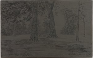 Greenwich Park, 1859 door James Abbott McNeill Whistler