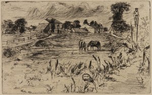 Landschap met paarden