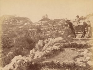 Capri [kind op muilezel]