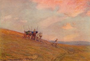 Op de Downs bij Harting, ca. 1870-1906, 1906 door James Aumonier