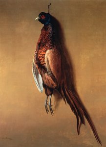 Hangende fazant, 1822