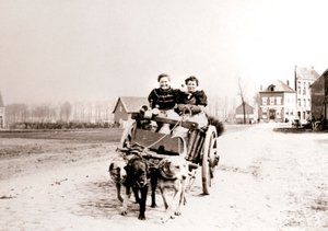 Honden trekken vrouwen op een kar, Antwerpen