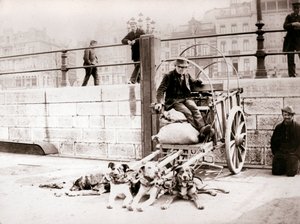 Man met hondenkar, Antwerpen, 1898