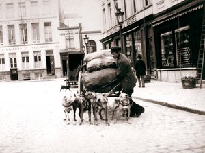 Man met hondenkar, Antwerpen, 1898