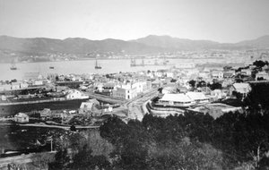 Lambton Harbour en Queens Wharf, Wellington, Nieuw-Zeeland door James Bragge