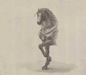 Studie van de voorkant van een paard door James Bruce