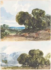 Twee Schetsen van Bomen