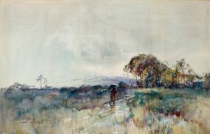 Landschap