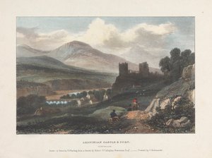 Ardfinian Kasteel & Fort Tipperary