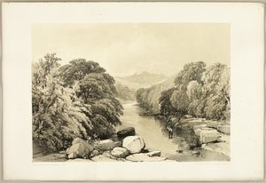 Esdoorn, Es en Eik, uit Het Park en het Bos door James Duffield Harding