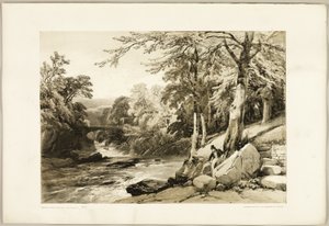 Beuk en es aan de Greta, uit Het park en het bos