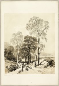 Berken en eiken, uit Het park en het bos door James Duffield Harding