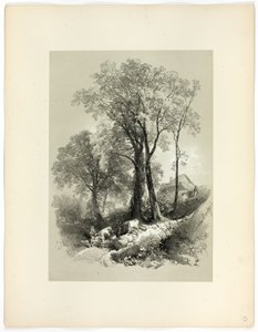 Shipley Bridge, Devon, uit Picturesque Selections door James Duffield Harding