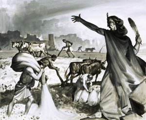 De opkomst en ondergang van Carthago: De Romeinse vloek op Carthago door James Edwin McConnell