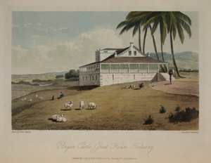 Bryan Castle, Groot Huis, Trelawny